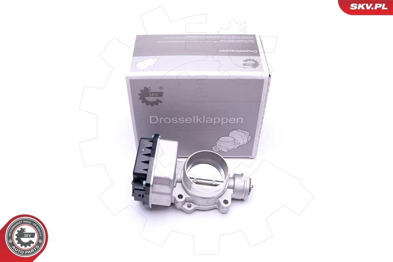 Throttle Body